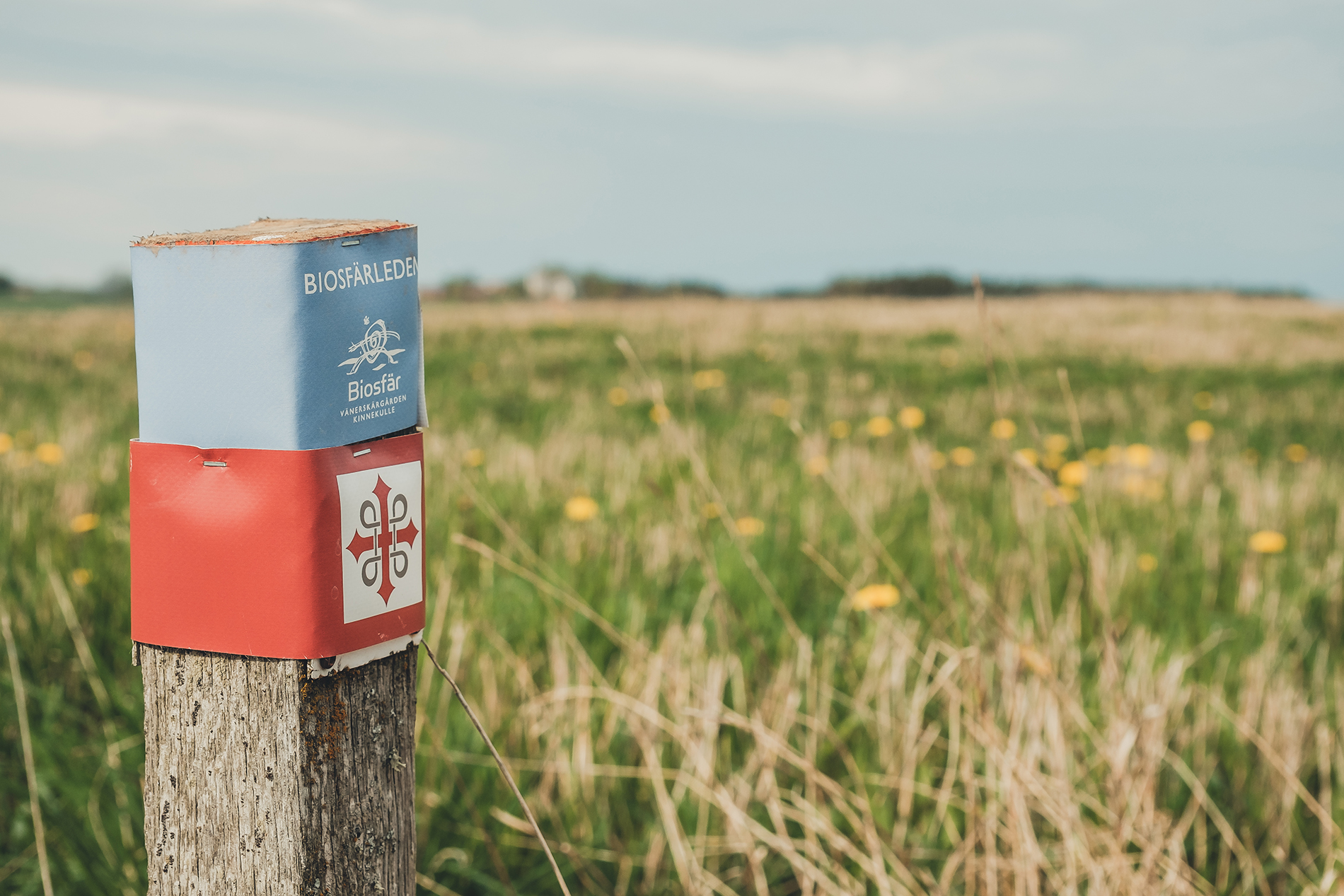Stolpe utomhus, med två olika markeringar på för två olika vandringsleder.