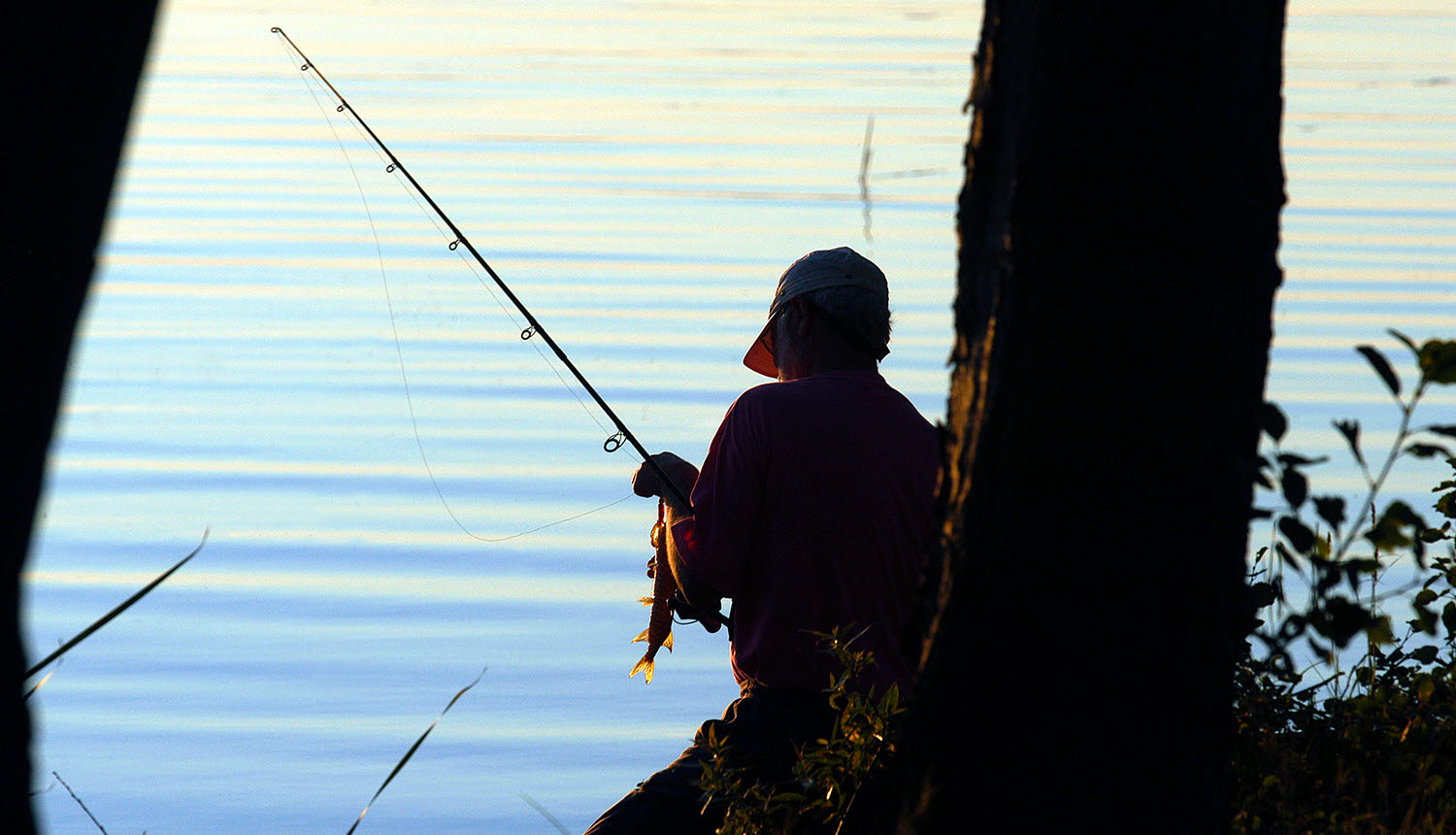 En person sitter vid sjökanten och fiskar.