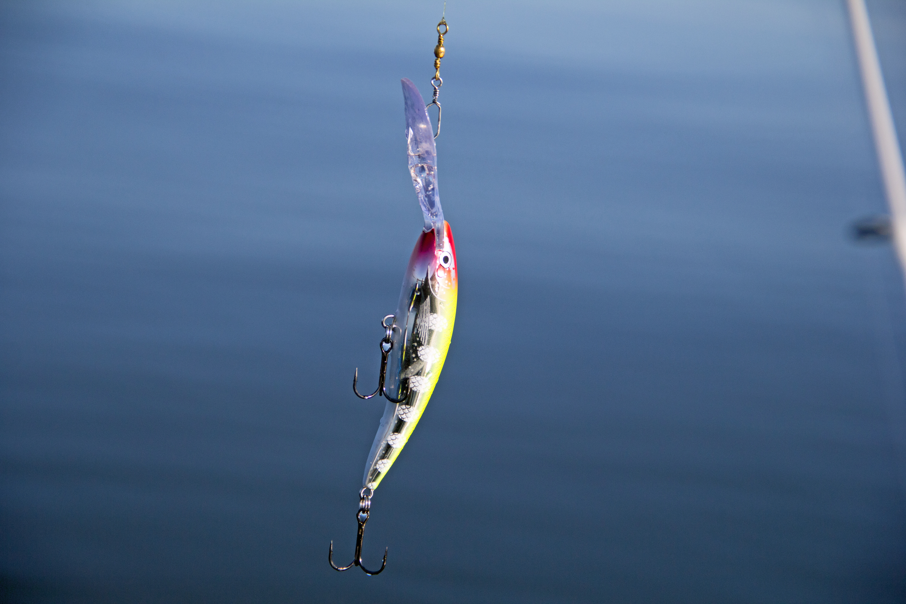 Fiskeregler