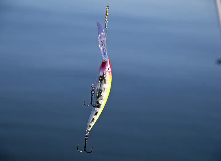 Fiskeregler
