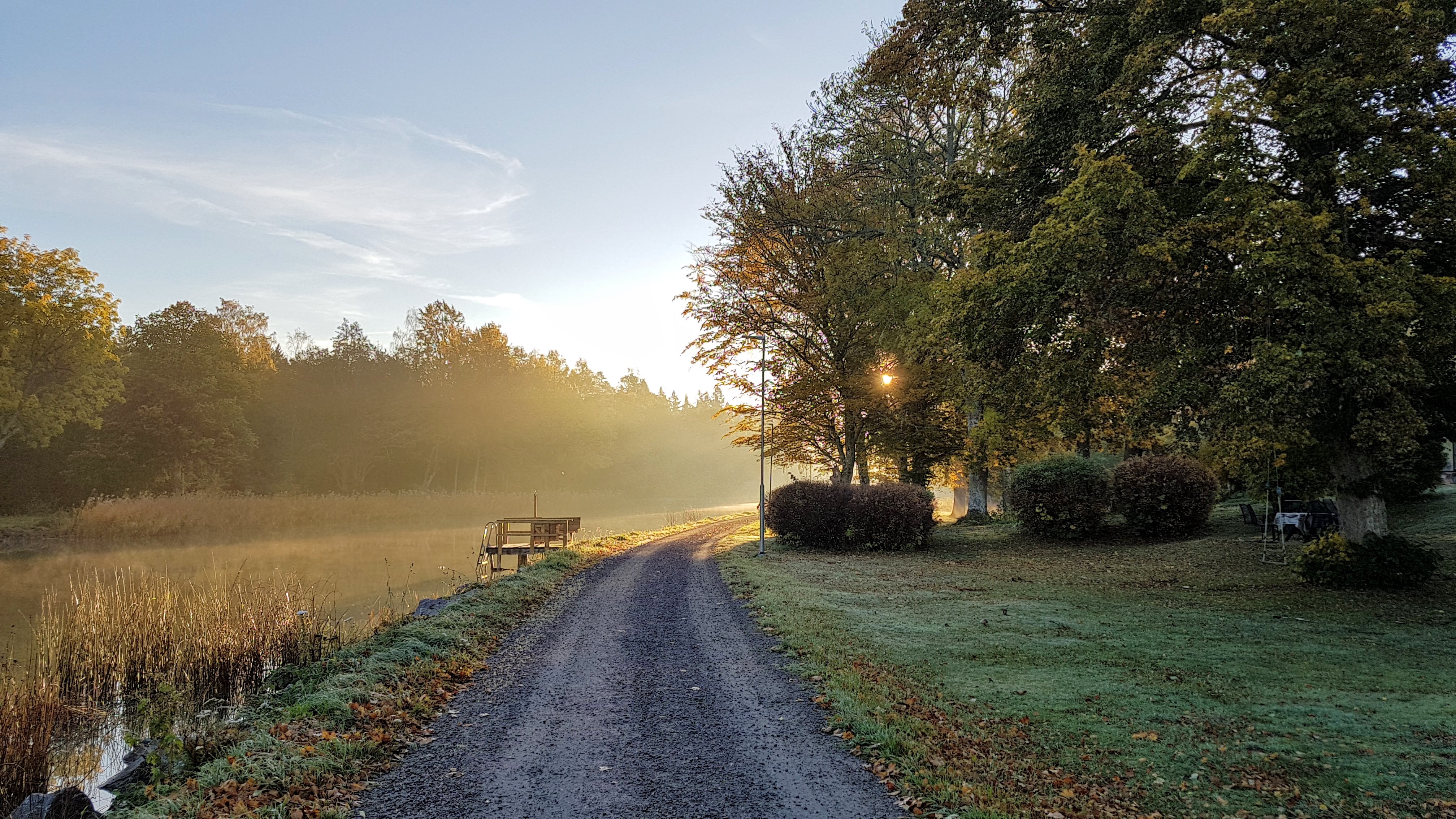 Göta kanal med dragväg och trädallé i dimma med höstiga färger på träden och löv på marken.
