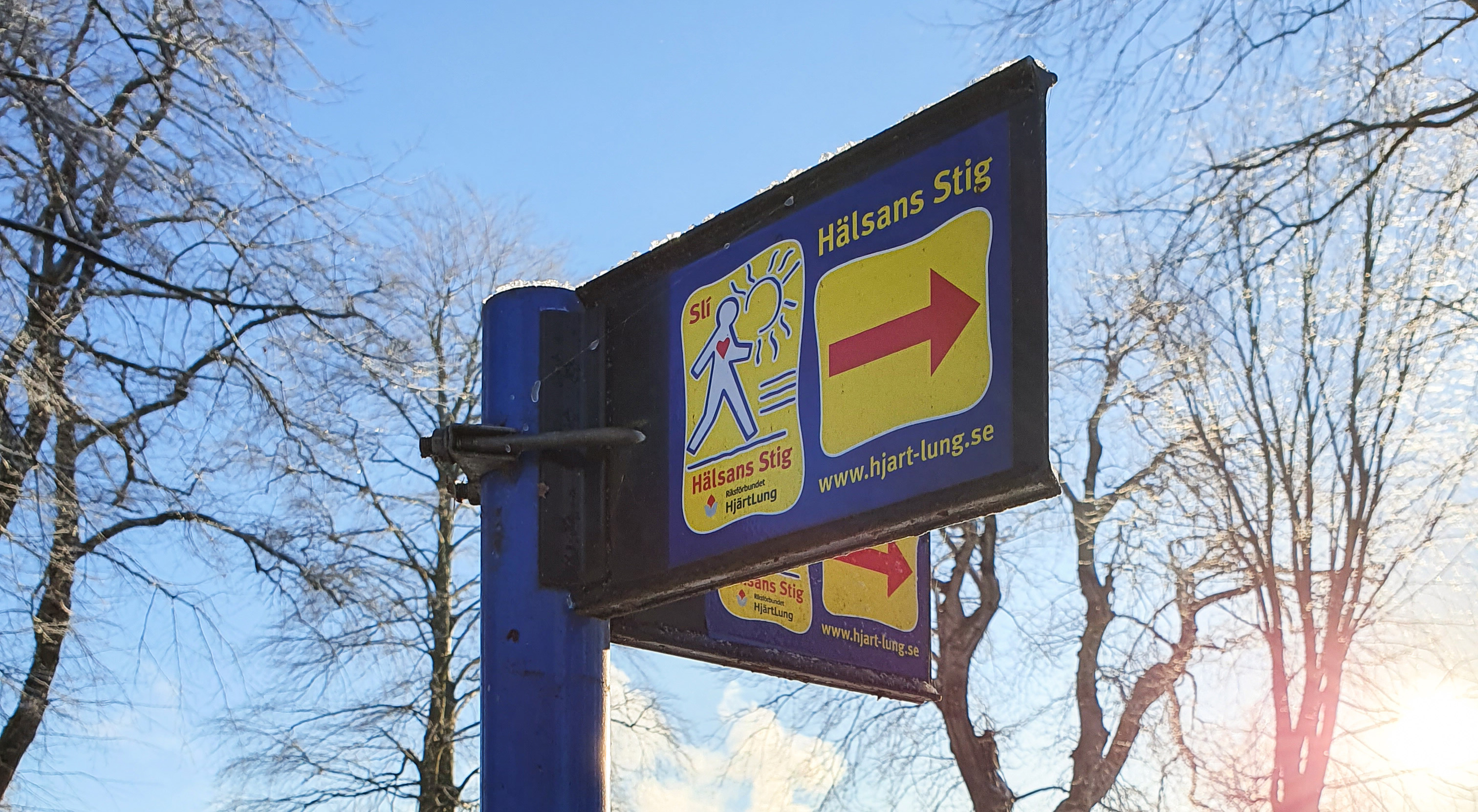 Hälsans stig