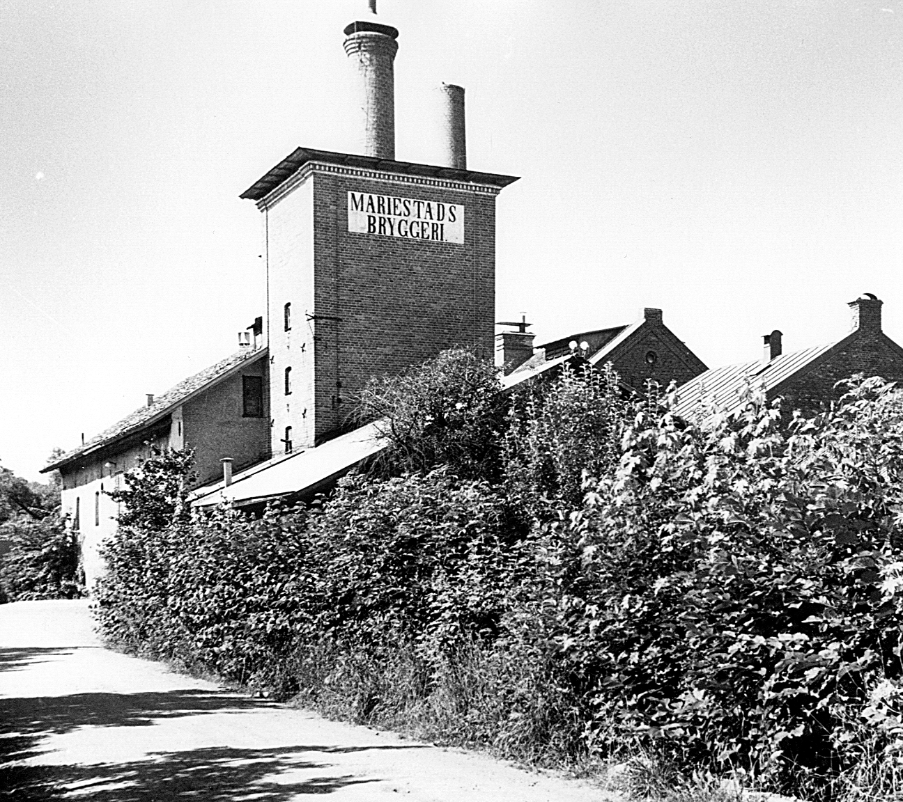Svartvit historisk bild på Mariestads bryggeri, ett torn med skorstenar och buskage i förgrunden. 