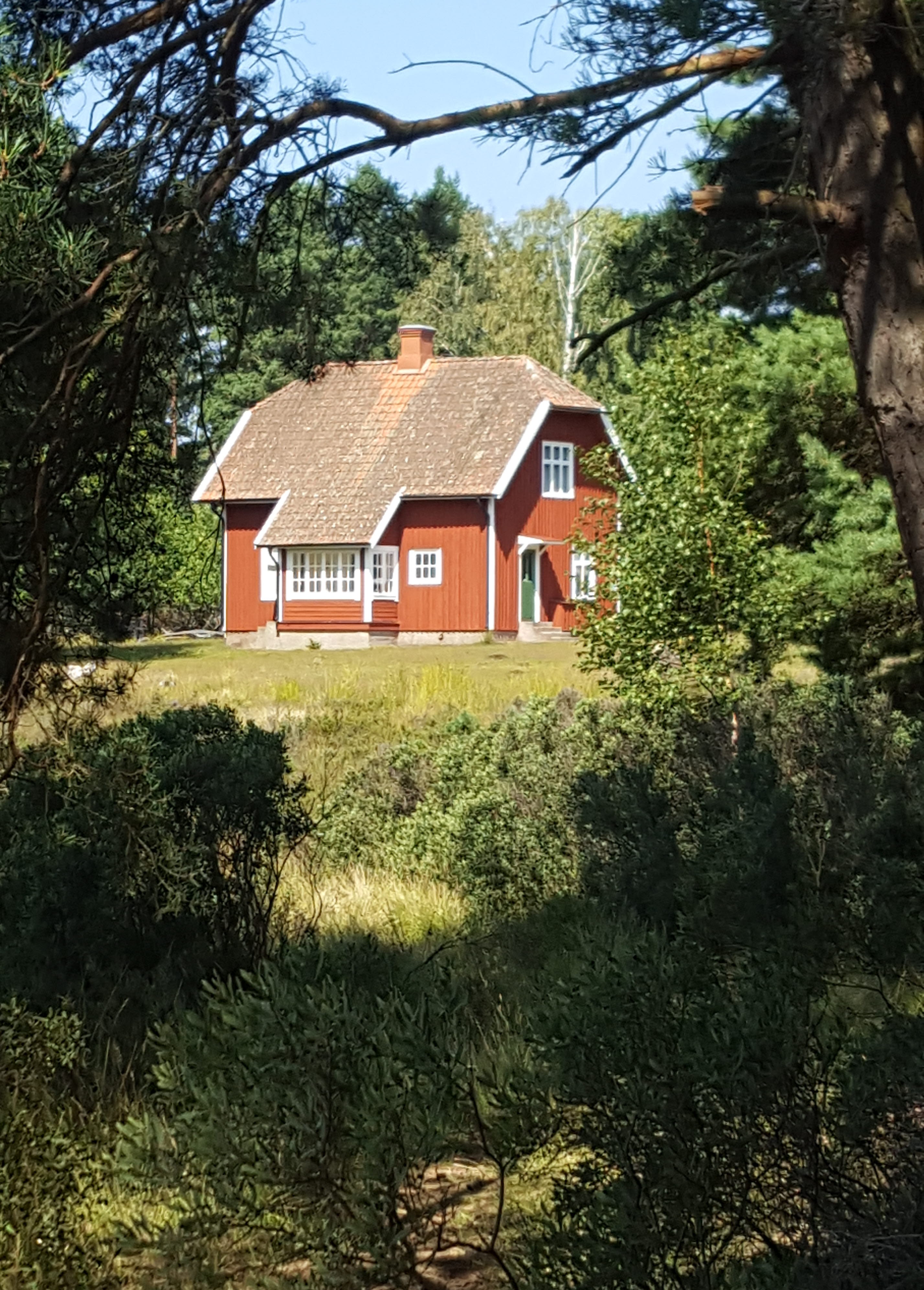 Ett rött hus på Djurö, träd och natur.