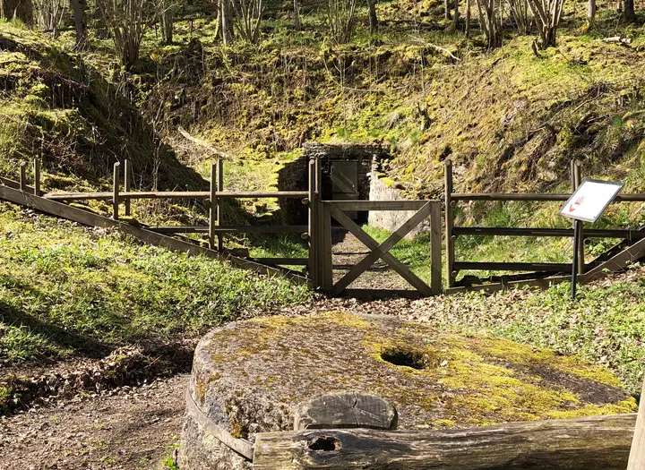 Lugnås kvarnstensgruvor naturreservat
