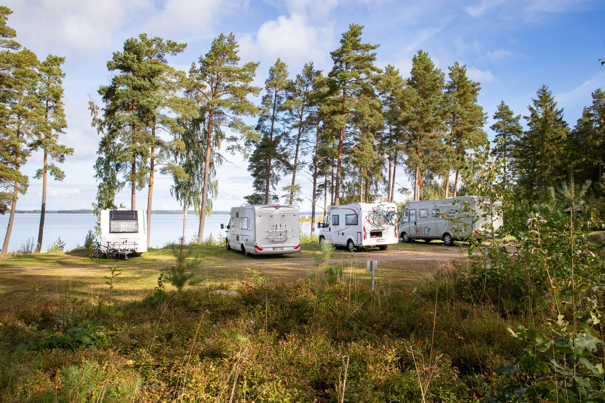 Fyra husbilar parkerade på ställplats vid natur och vatten. 