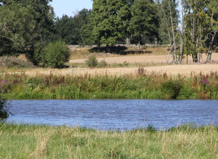 Karleby-Tidan Fiskevårdsområde