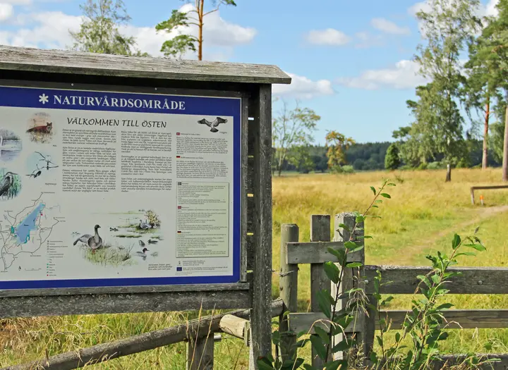 Sjön Östen naturreservat