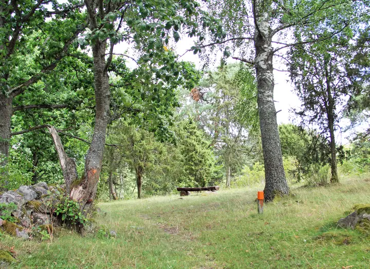 Logården naturreservat