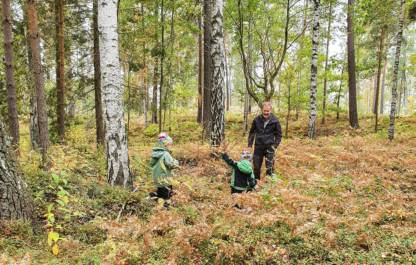 En vuxen person och två barn i en skog.