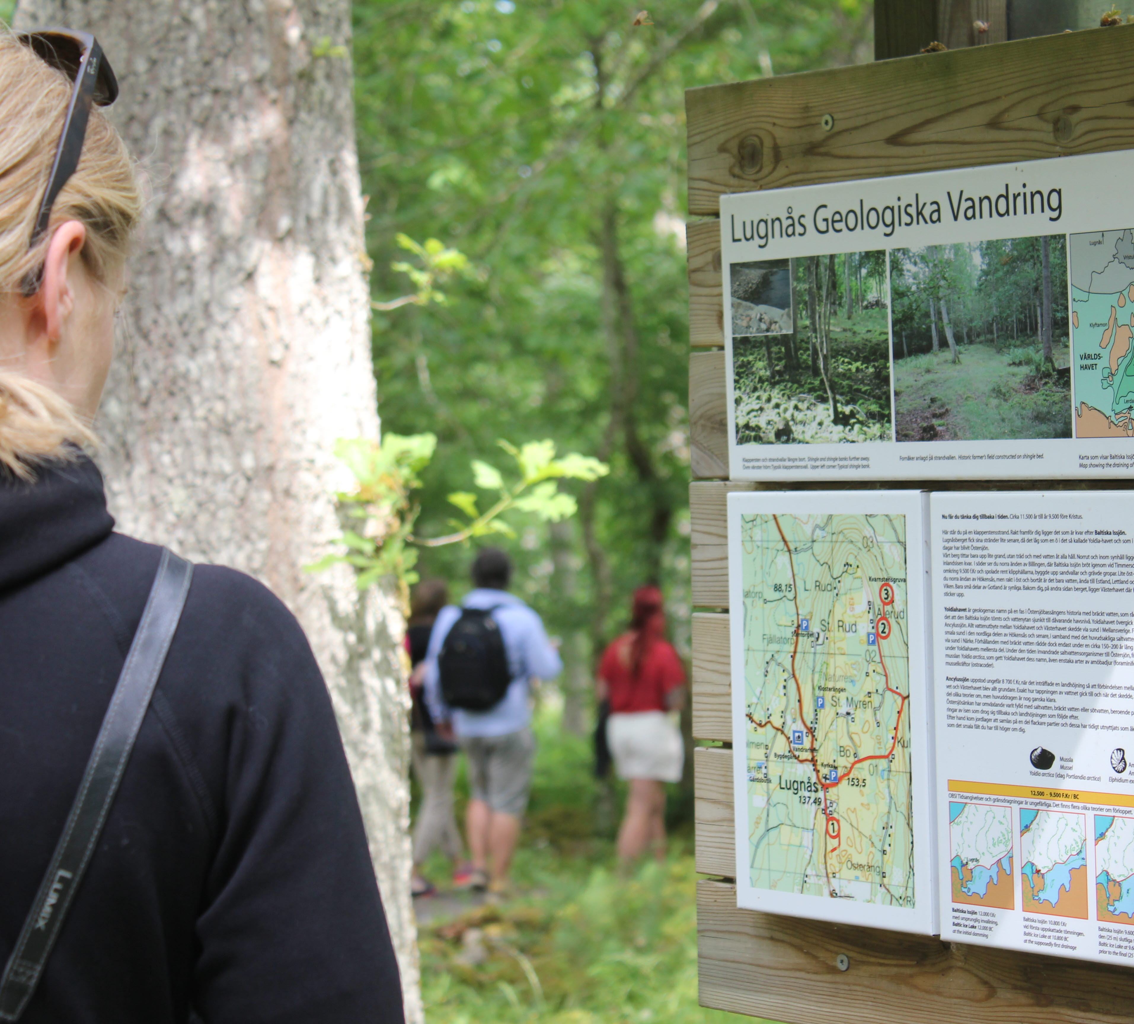 Kvinna läser informationstavla om Lugnås geologiska vandring, Lugnåsberget Mariestad.