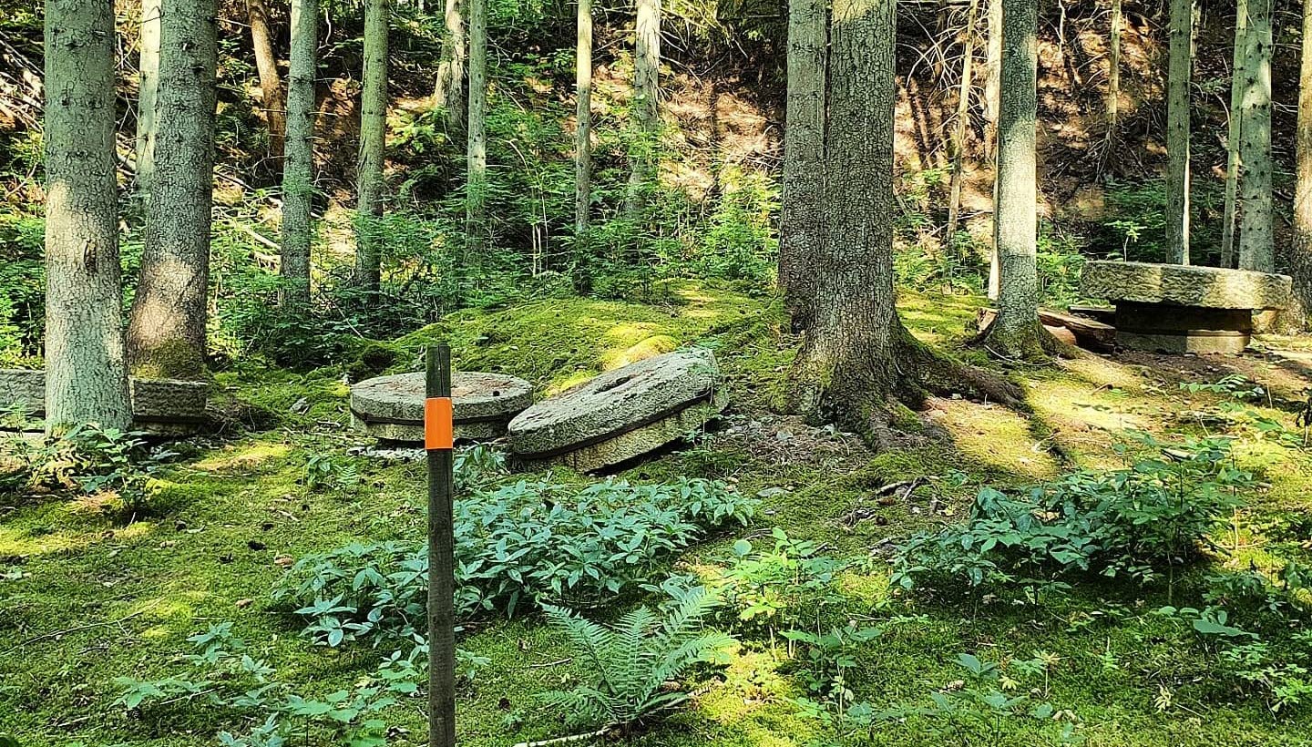 Natur, trädstammar, mossa och grönska, kvarnstenar på marken och en stolpe som markerar vandringsleden.