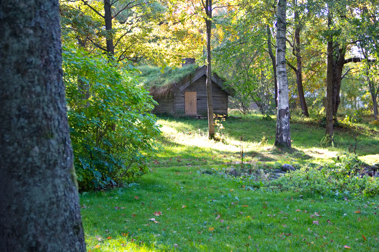 Alhagen