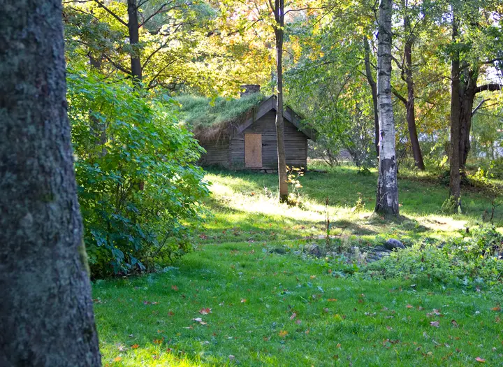 Alhagen