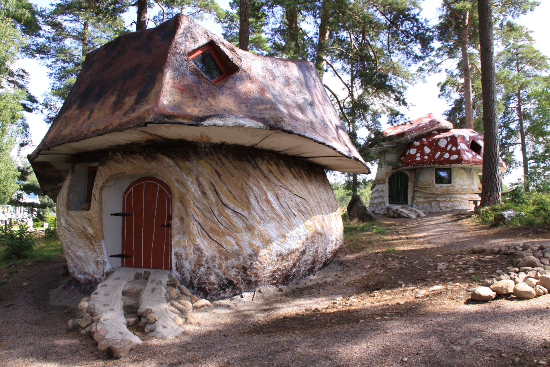 Svampar i Norrkvarn vid Göta kanal.