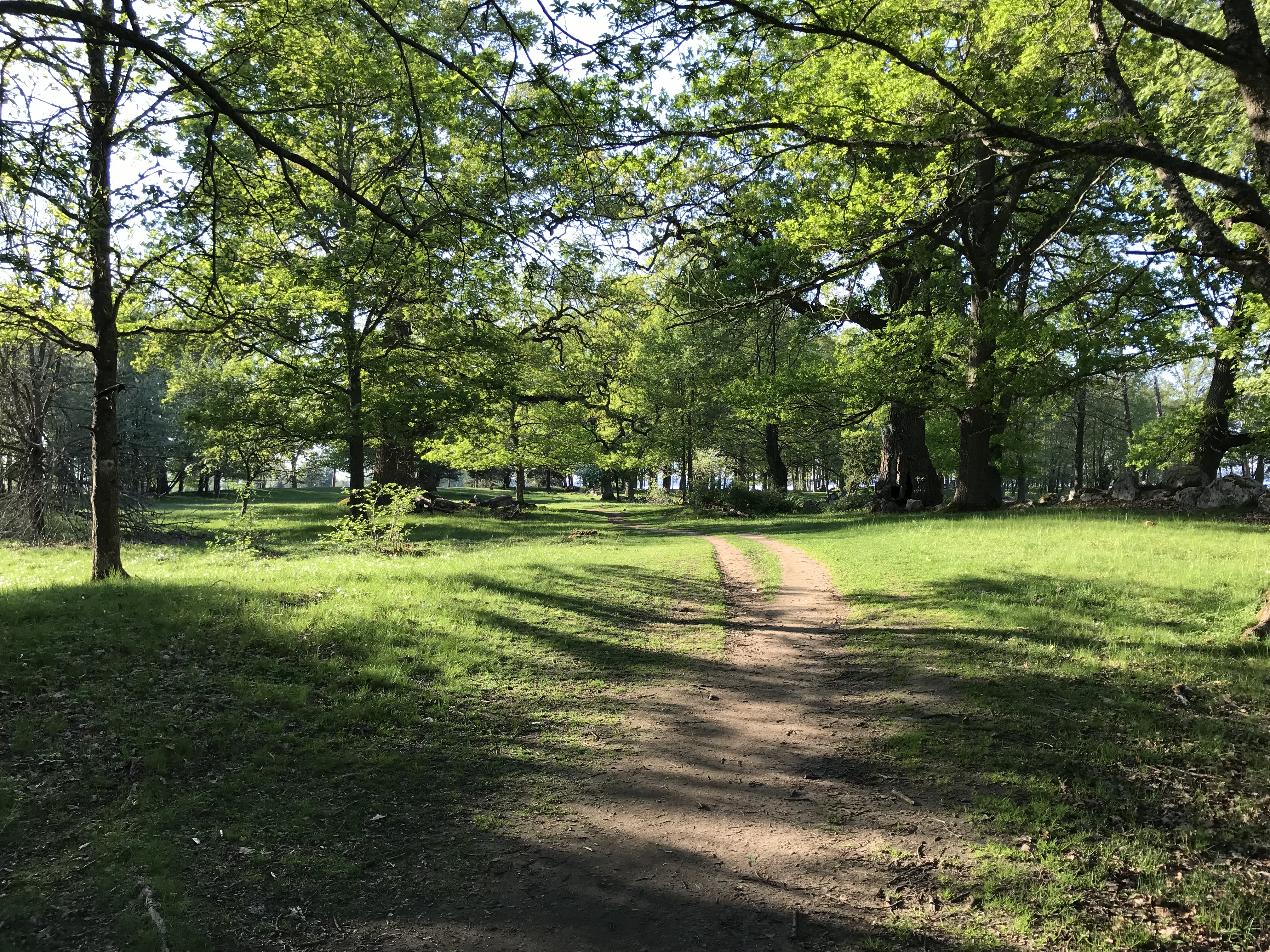Gamla Ekuddens Naturreservat