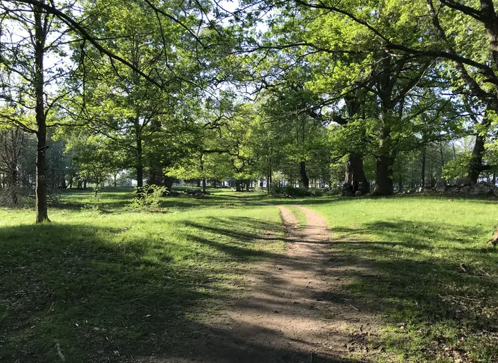 Gamla Ekuddens naturreservat