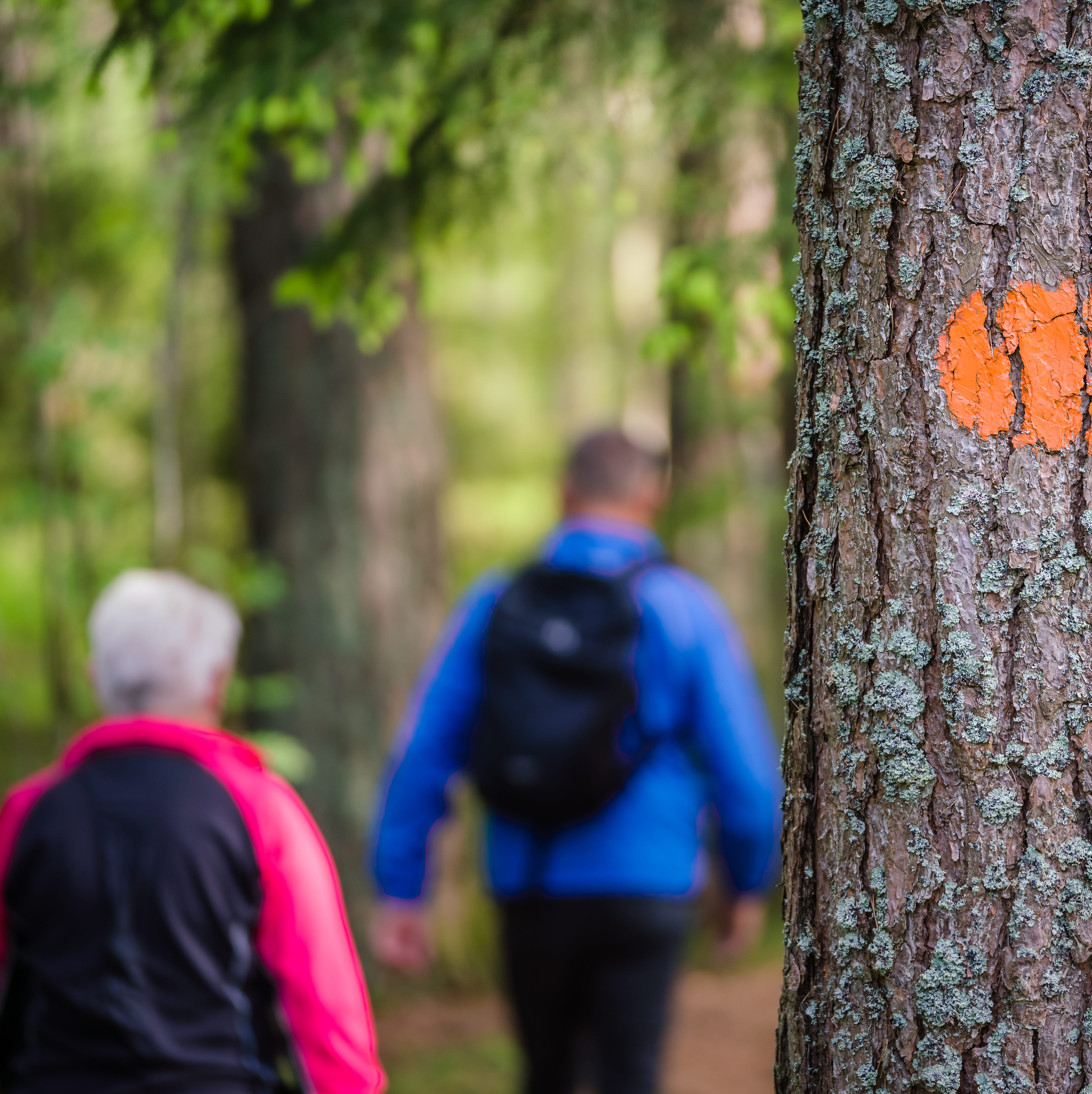 A hiking trail marked on a tree with a couple walking in the background.
