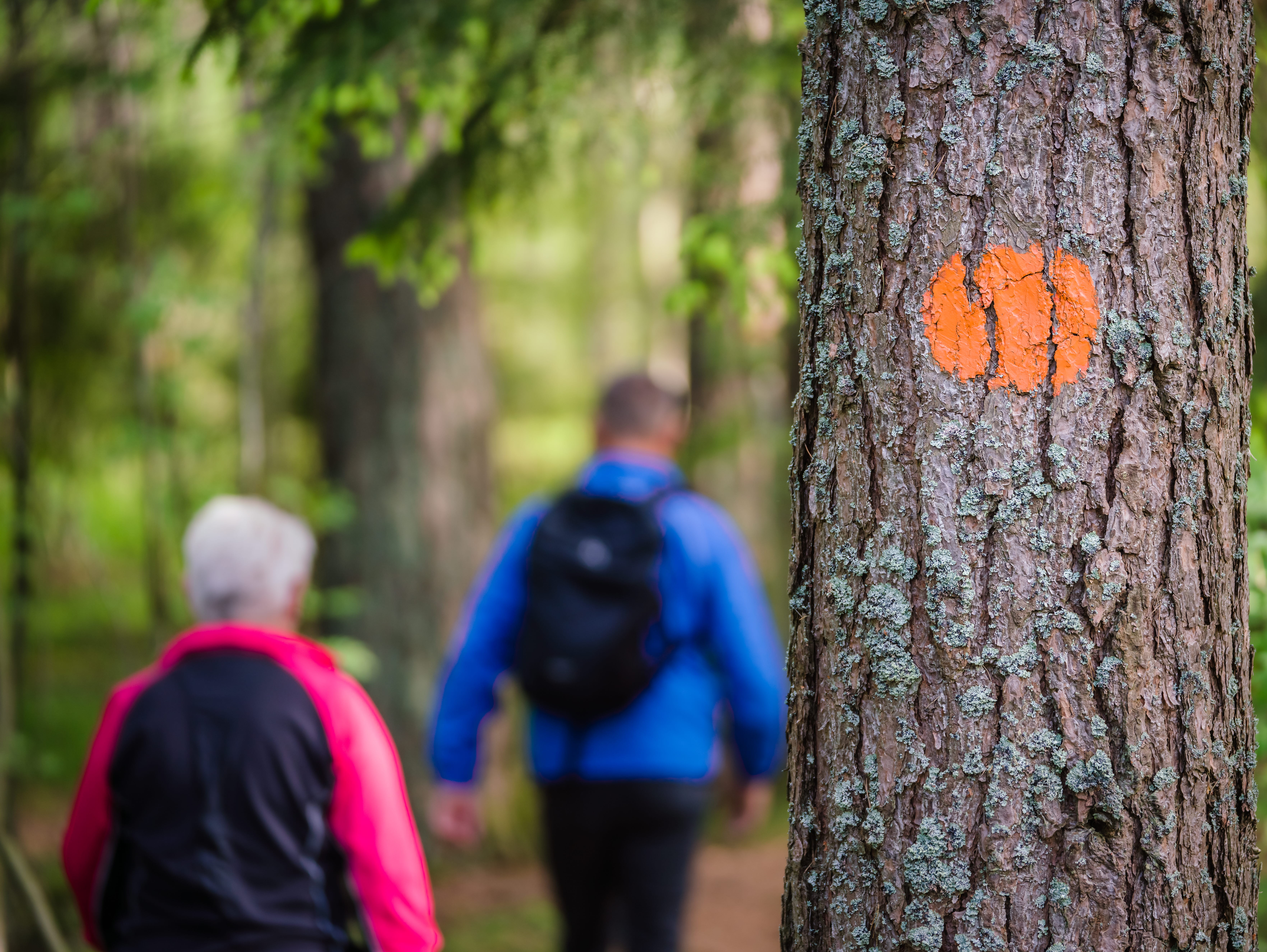 En markering av vandringsled på ett träd med ett par som vandrar i bakgrunden. 