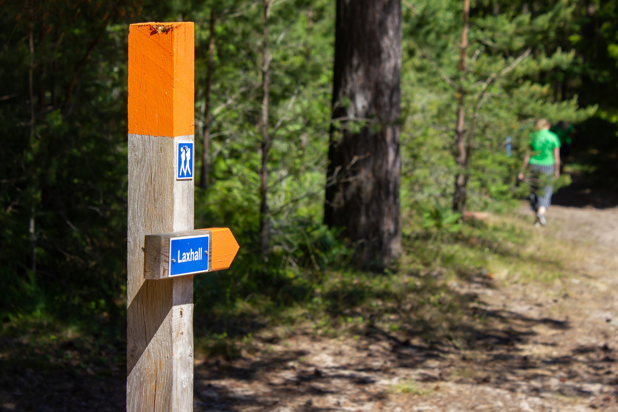 Hiking trail at Sandvik on the island Torsö. 