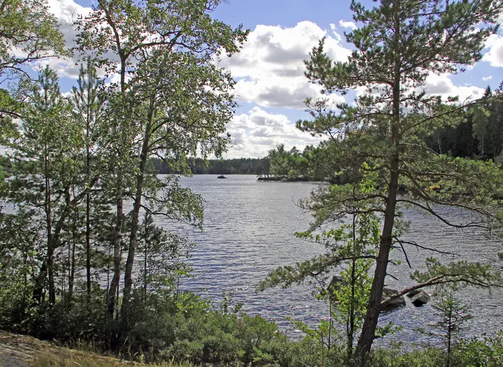 Fiske i Vristulven