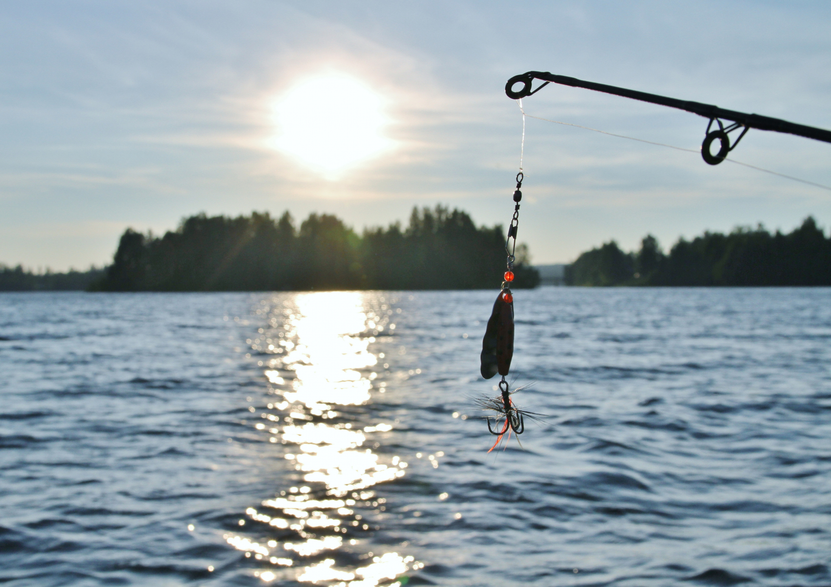 En bild på en inzoomad fiskekrok. I bakgrunden syns glittrande vattenyta, solsken och en skog.