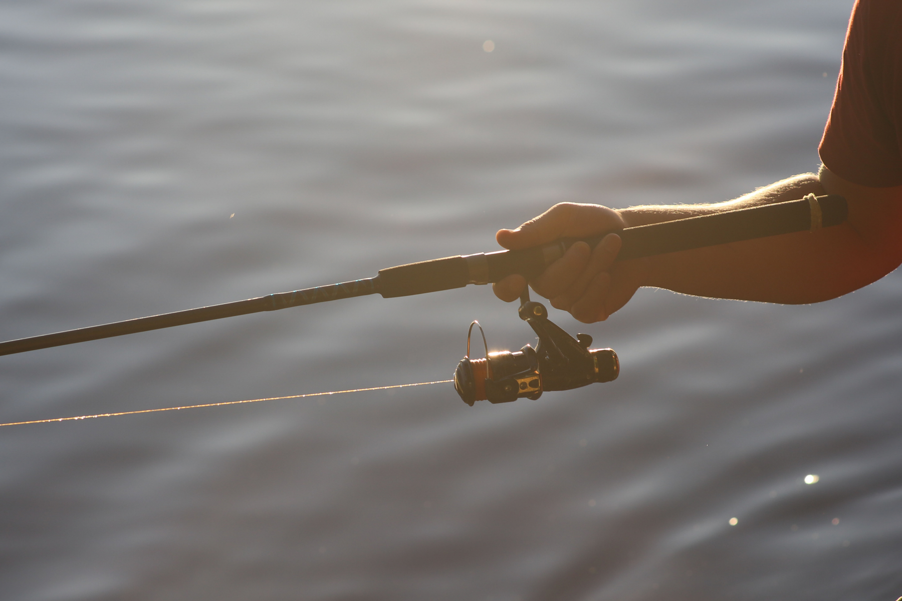 En närbild på en underarm och en hand som håller i ett fiskespö. I bakgrunden kan man se vattenytan på en sjö.