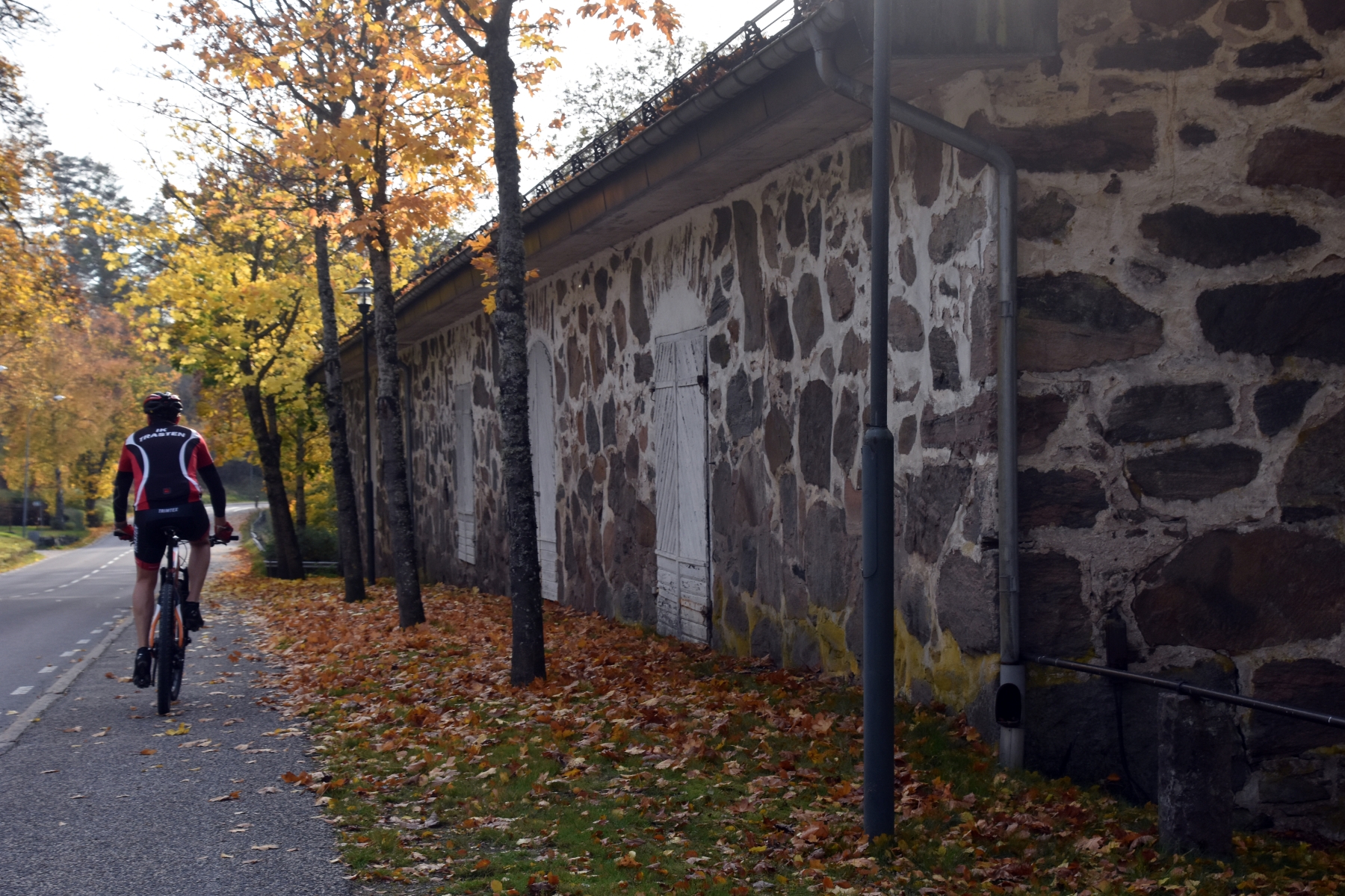 En bild på en man som cyklar längs en väg bland höstlöv på marken.