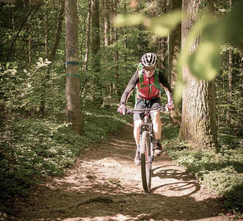En bild på en man som cyklar på en stig i skogen.