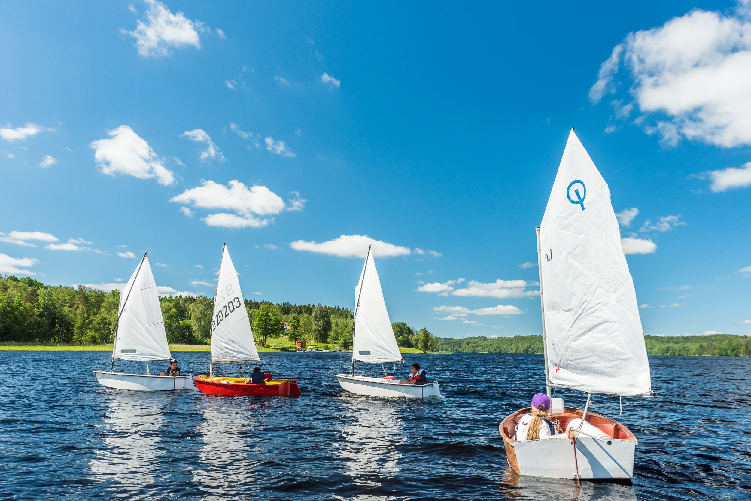 Fyra segelbåtar flyter runt på en klarblå sjö, himlen är blå och i bakgrunden skymtar man grön skog. 