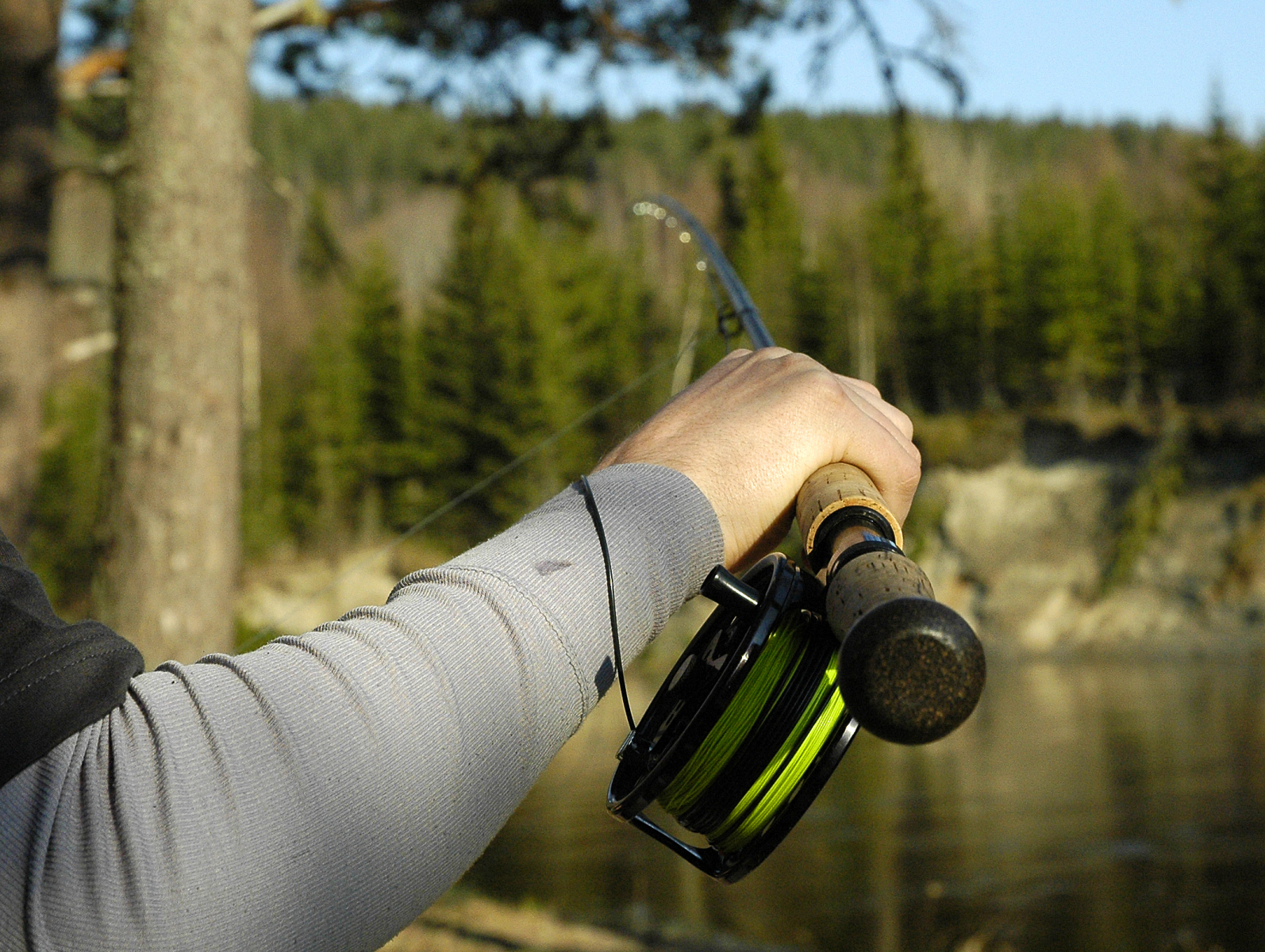 En närbild på en hand som håller i ett fiskespö. I bakgrunden ser man sjö, berg och skog.