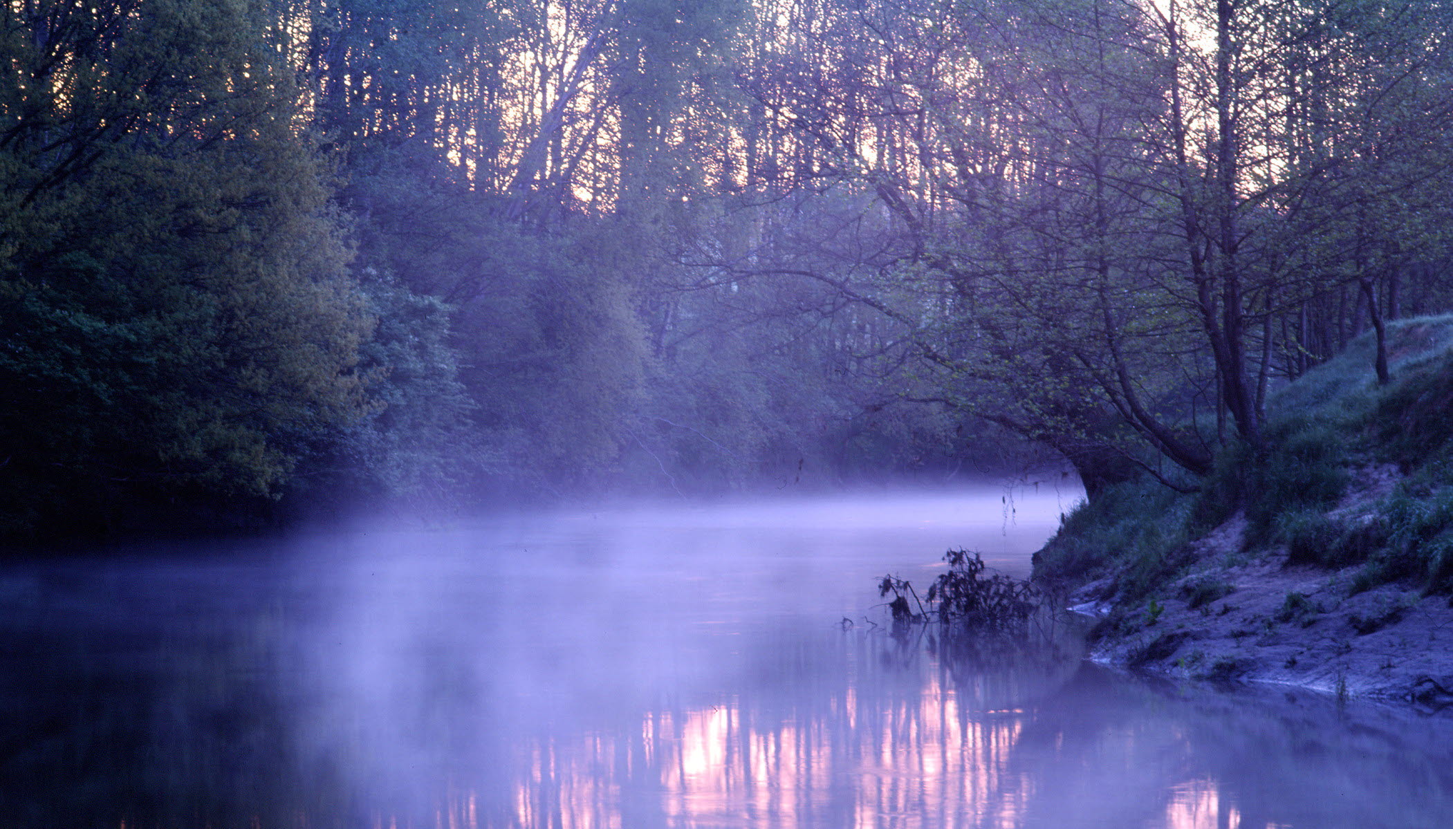 En bild på en å i lila morgonljus.