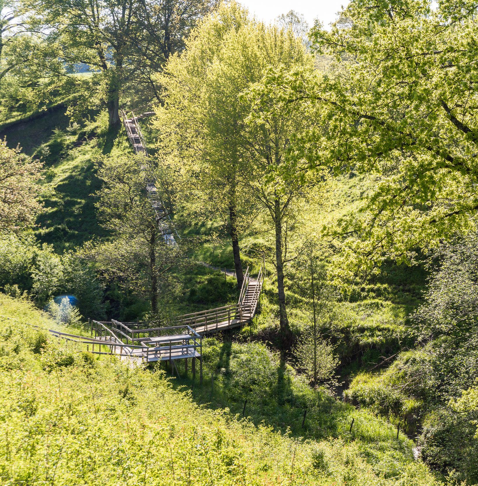 En bild på grönskande natur med träd, kullar och dalgångar.