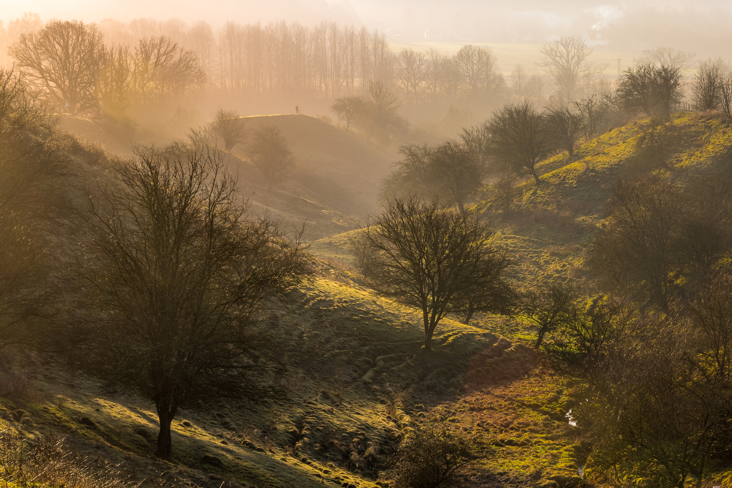 En bild på ett böljande höstfärgat landskap.