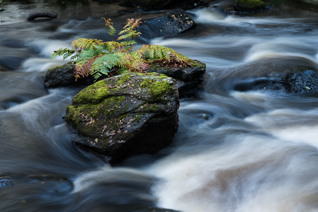 En bild på strömmande vatten över runda stenar.