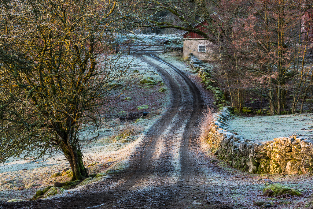 En grusväg intill en stenmur en frostig morgon.