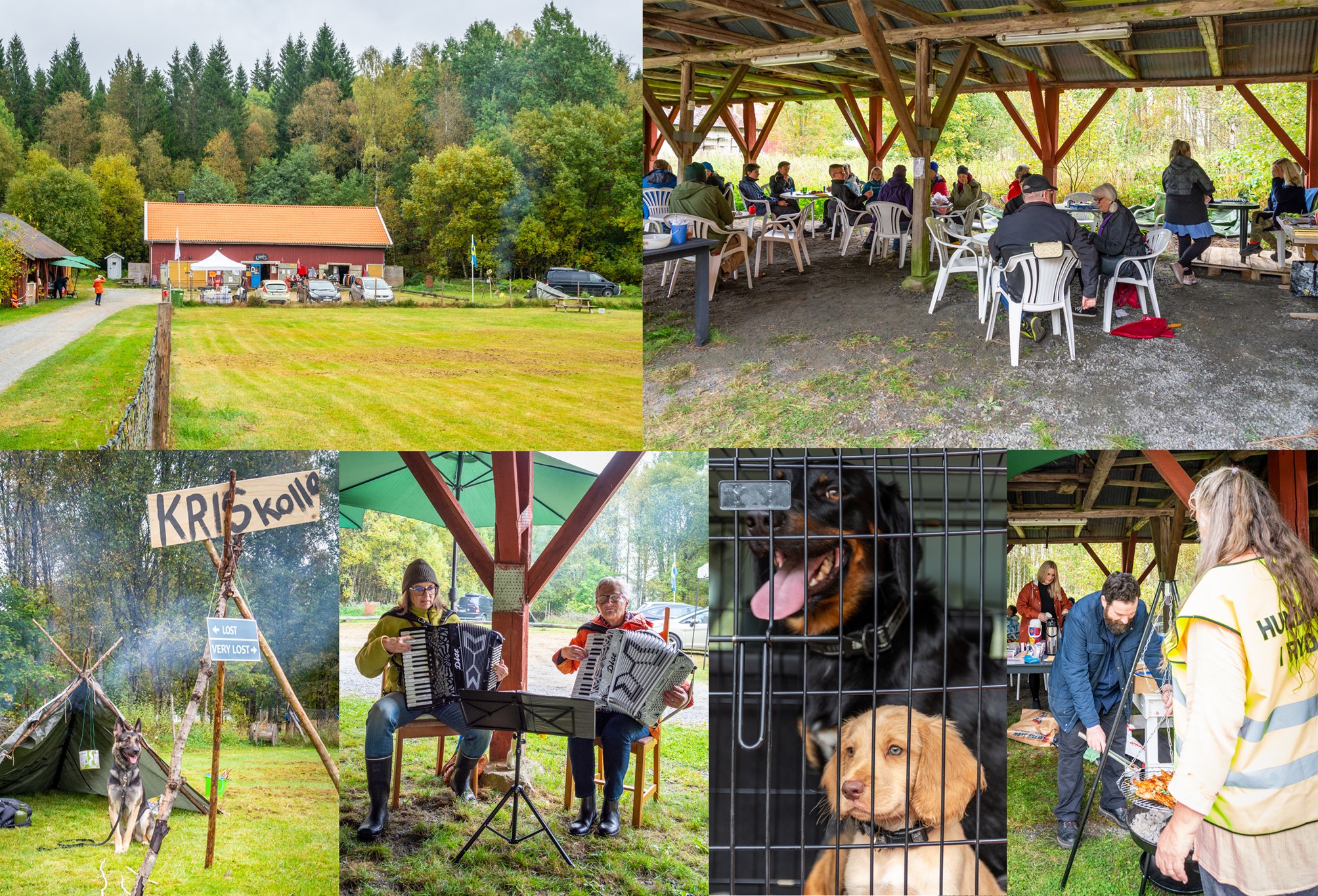 Ett kollage av bilder från hundkojan Loppis