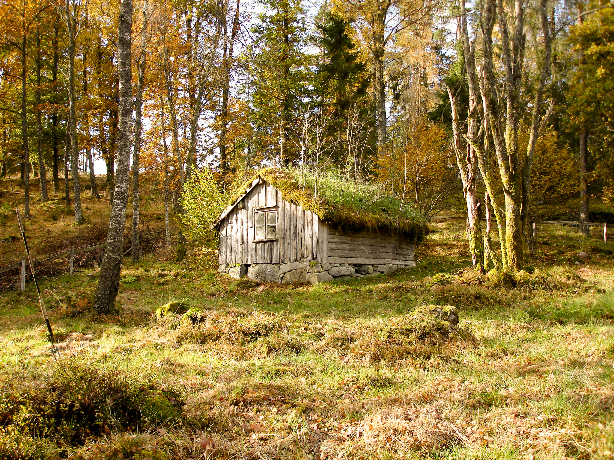 En bild på ett litet hus i höstligt landskap.