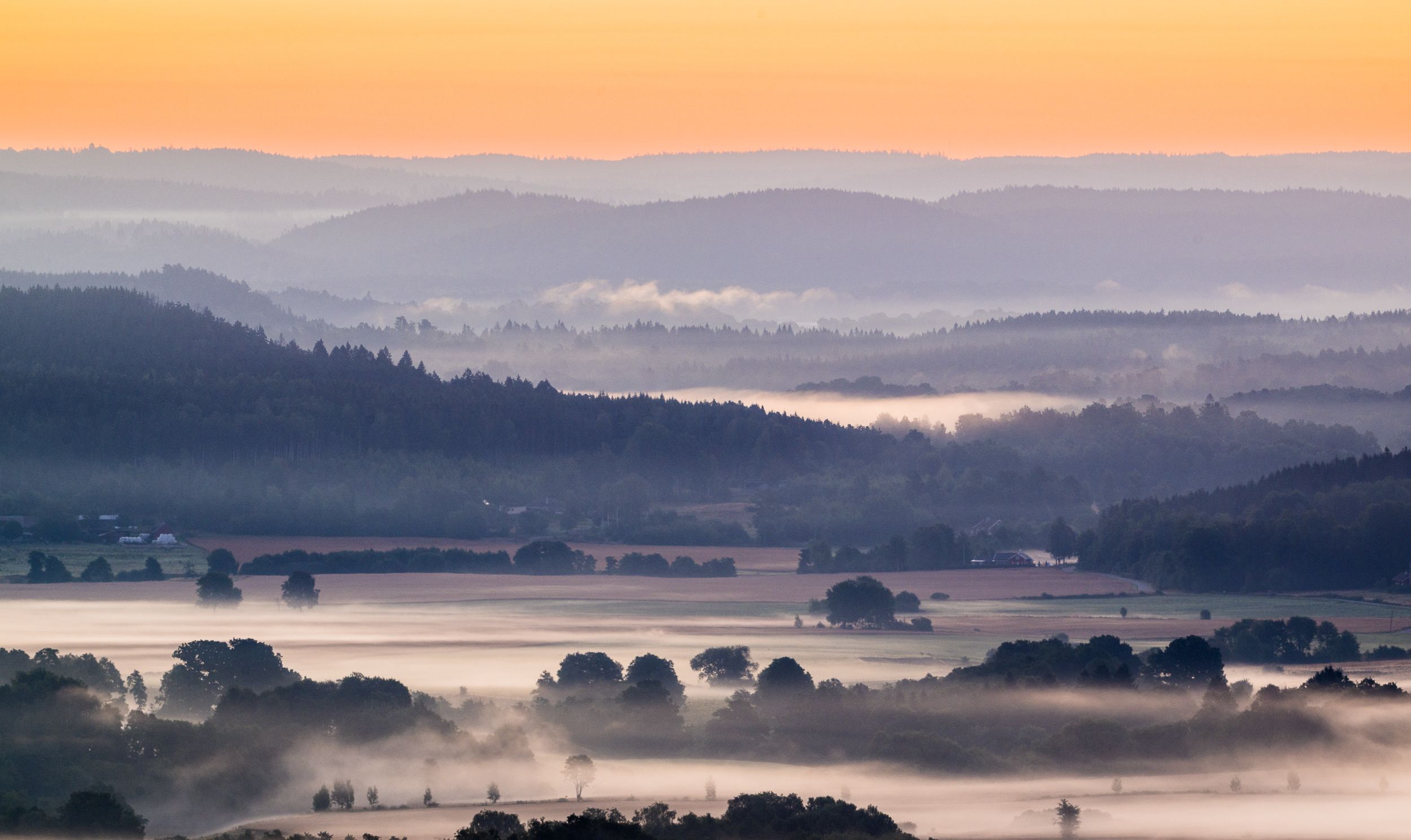 En bild från ovan över öppna landskap i dimma. Himlen är gyllene av solen.