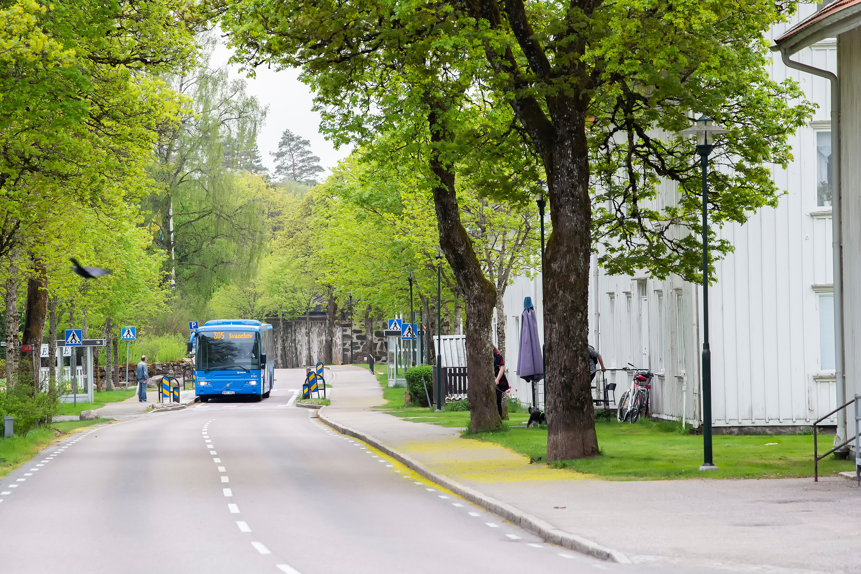 En blå buss står vid en busshållsplats i Rydal