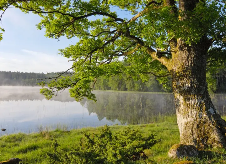 Dräggsjön runt