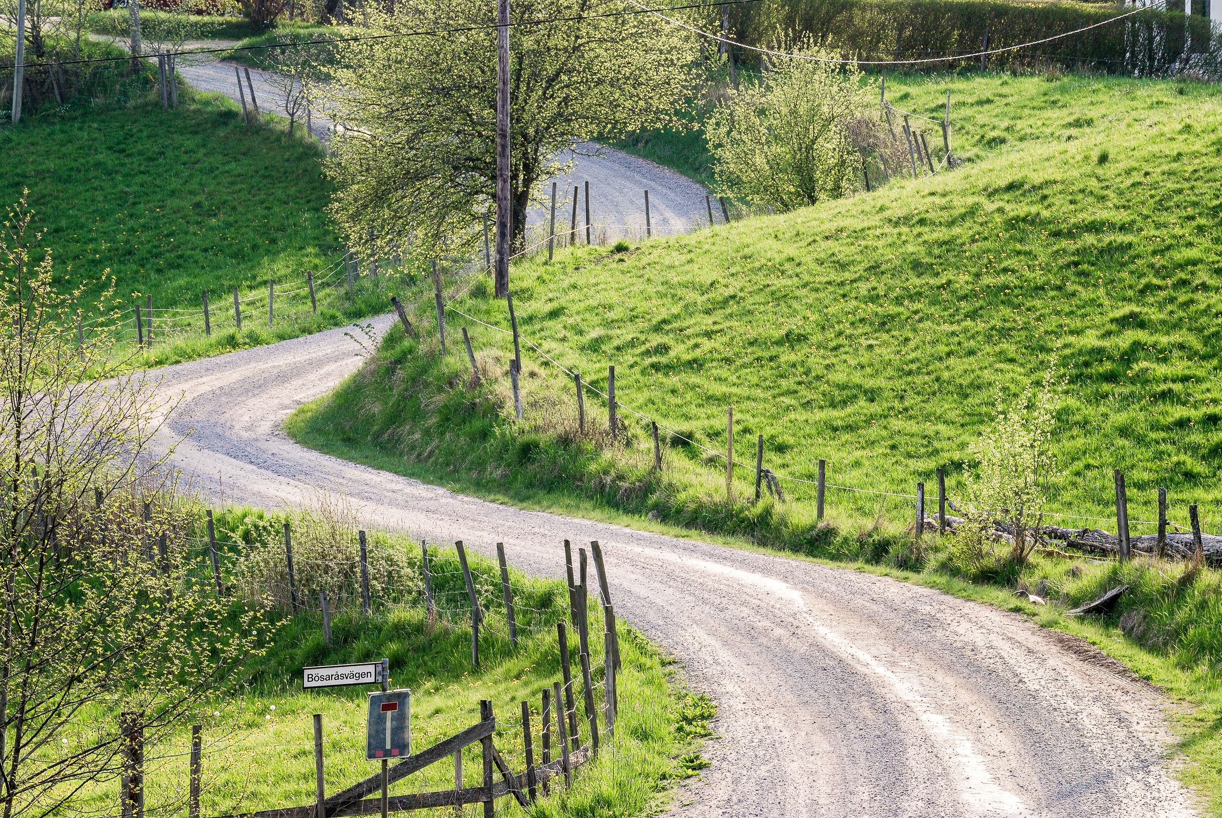 En bild på en slingrig grusväg genom ett grönt landskap med träd och staket.