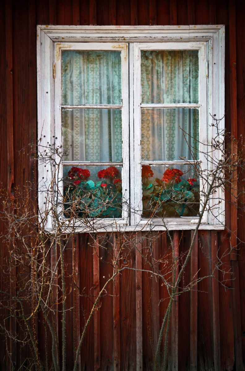 Ett fönster på en gammal rödmålad torpstuga.