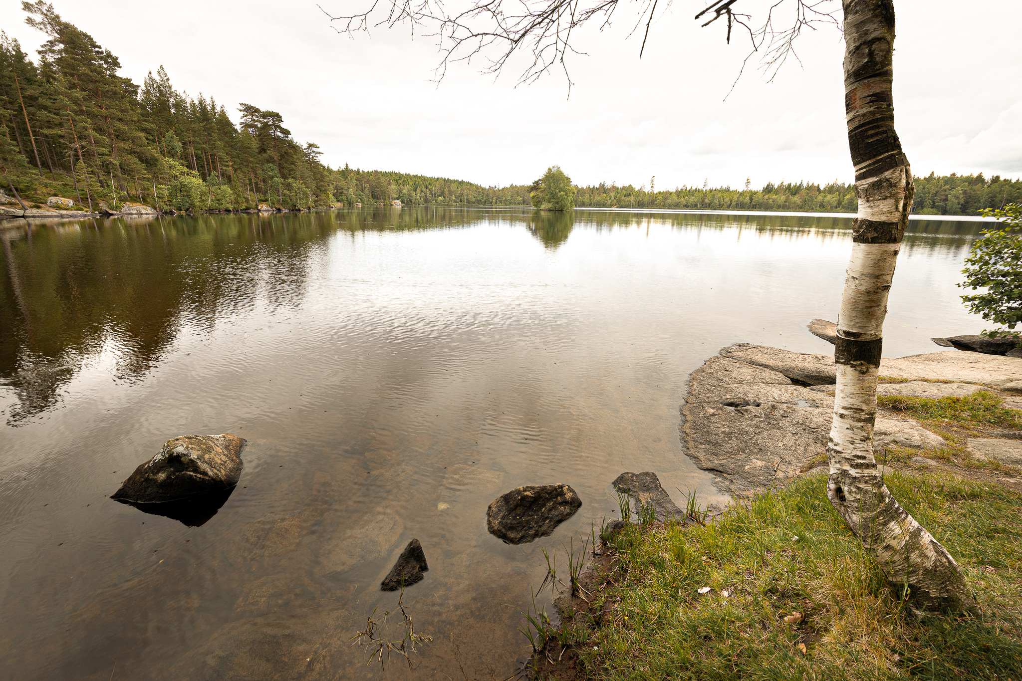 En bild på en spegelblank sjö omgiven av skog. Himlen är grå.