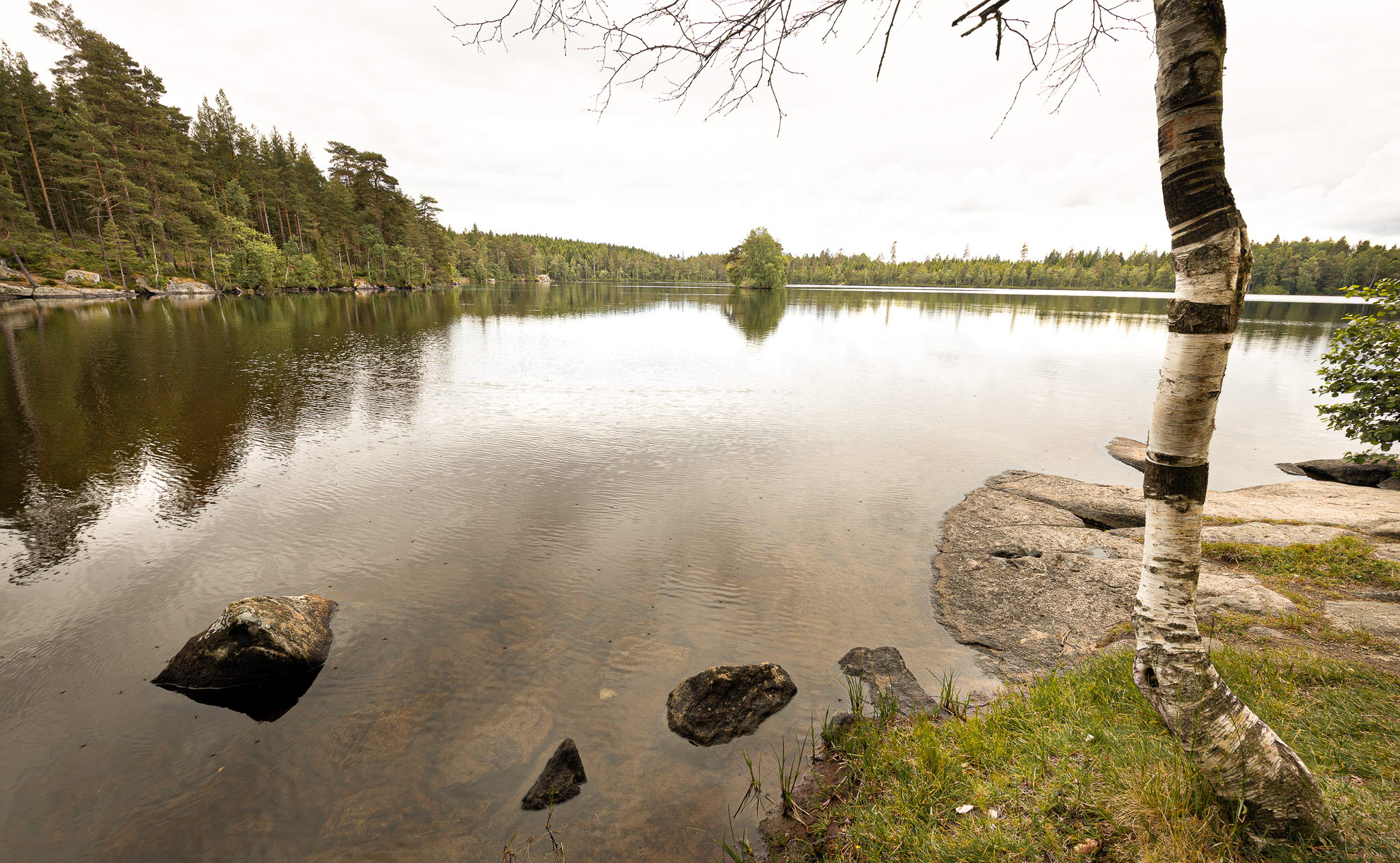 En bild på en spegelblank sjö omgiven av skog. Himlen är grå.