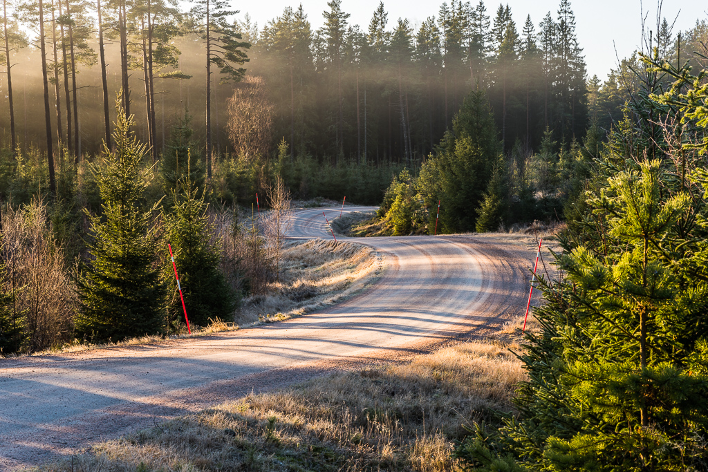 En slingrande grusväg genom skogen.