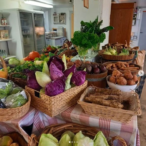 Gunnagård grönsaker från deras Instagram