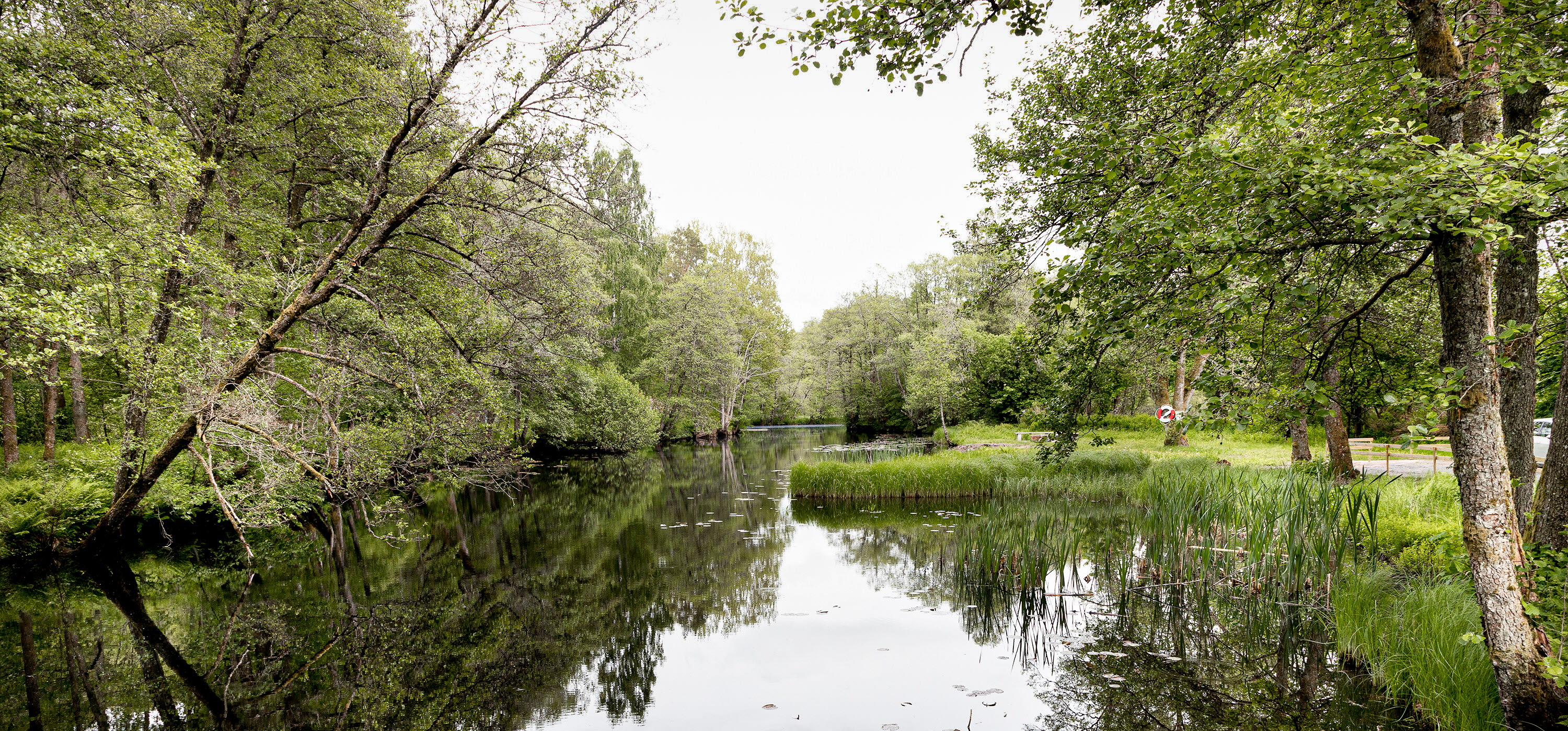 En bild på en stilla å i ett grönt och lummigt landskap