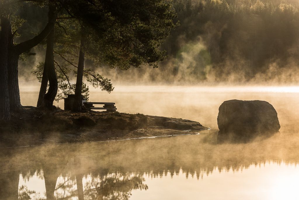 En vacker naturbild på en spegelblank sjö med tjock morgondimma. På en liten klippa står ett par tallar och en parkbänk.
