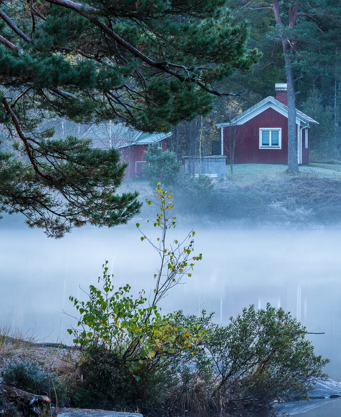 En bild på en dimmig sjö kantad av skog. I bakgrunden syns ett rött litet hus.